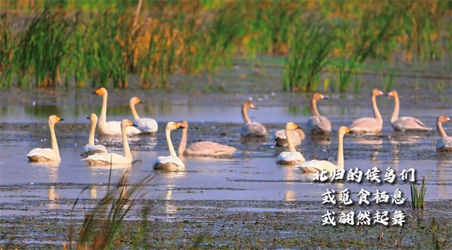 微信截圖_20231130102748.png